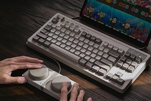 Miniatura 9 de 8BitDo Teclado mecánico retro, Bluetooth2.4GUSB-C, teclado para juegos intercambiable en caliente con 87 teclas, botones dobles súper programables