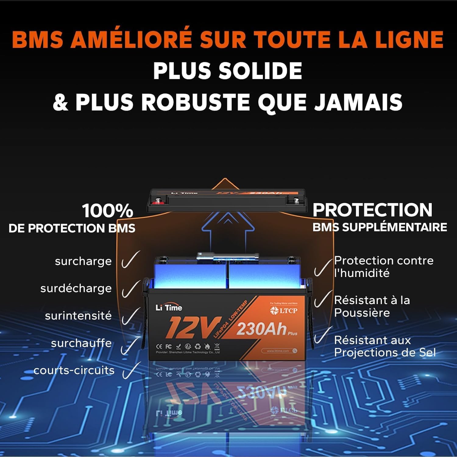 LiTime Batterie Lithium 12V 230Ah LTCP LiFePO4 pour Camper Van, Bateaux