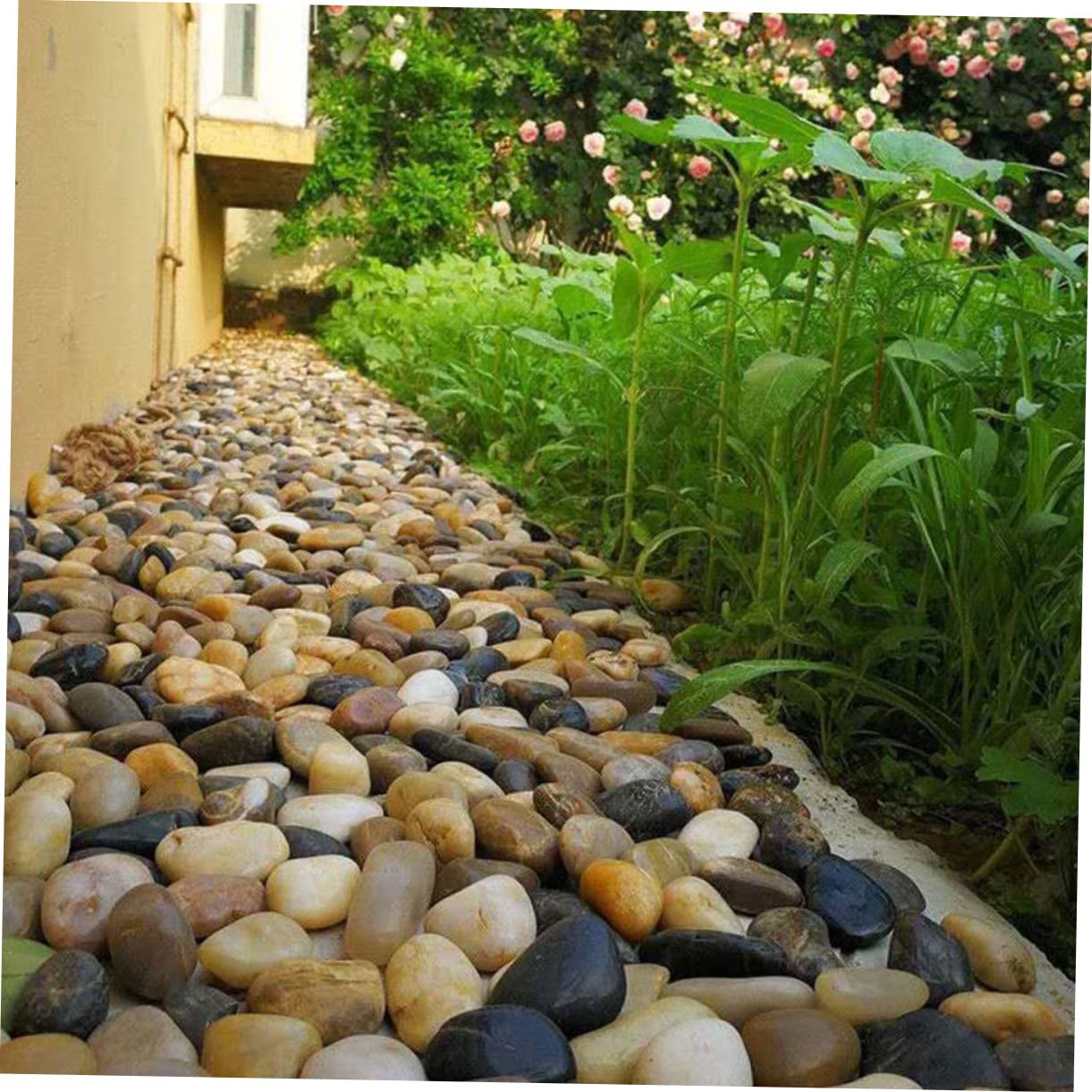 FOMIYES 3 Paquetes Piedras Mixtas Naturales Pulidas Plantas Naturales Interior De Rio Mexicana Terrario Plantas Piedras Pequeñas Rocas De Jardín Suculentas Cactus Exterior Guijarro
