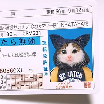 懐かしのなめ猫の免許証です。（未使用） Amazon.co.jp: ネオ昭和 なめ猫 免許証 初期モノ 特攻 昭和デス