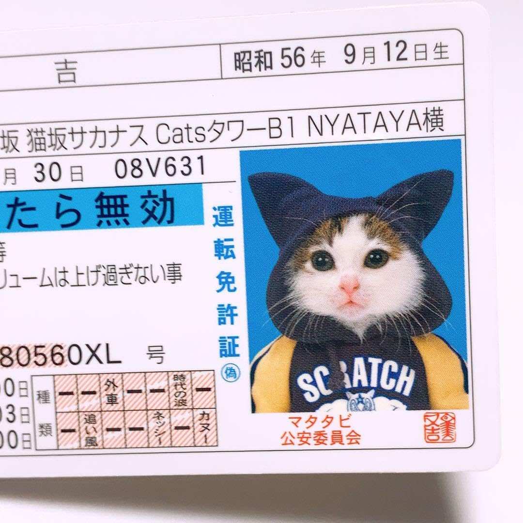 なめ猫商店専用　ナンジャモのカイデン　121パック 51Zi1cTfrlL._UF350,350_QL50_.jpg