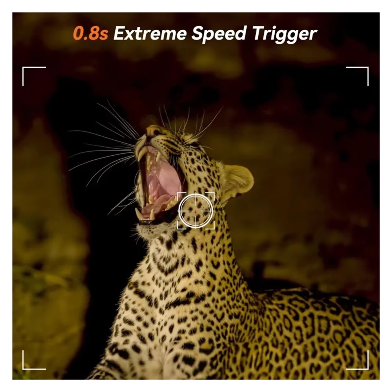 Kamera Obserwacji Dzikiej Przyrody Kamera Myśliwska Dziki Noktowizor Na Podczerwień Outdoor Motion Trail Game Cam Aktywowana Śledząca Fotopułapka Wild Surveillance Niezawodny Dokładny Monitoring
