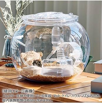 【みーにゃんさま専用】ハムスターセット　4点　他　おまとめ　（取置:11月1日） みーにゃんさま専用】ハムスターセット 4点 他 おまとめ （取置:11月