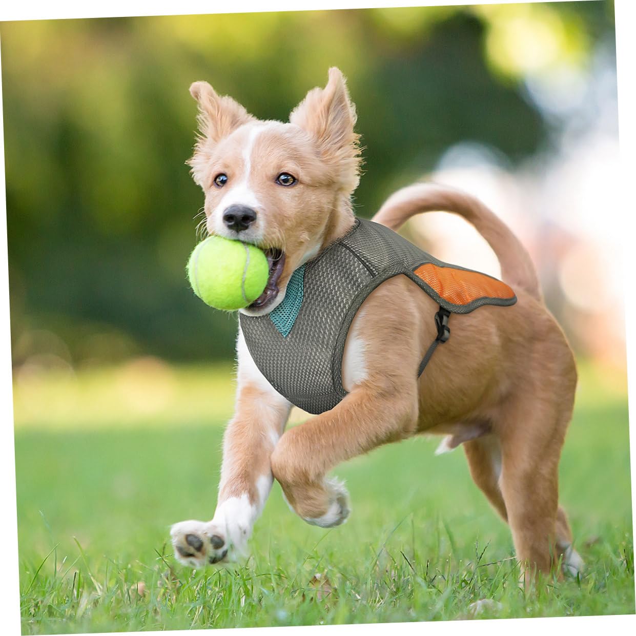 POPETPOP 1 veste de refroidissement réglable anti-ultraviolet réfléchissante respirante pour animal domestique harnais pour chien chiot