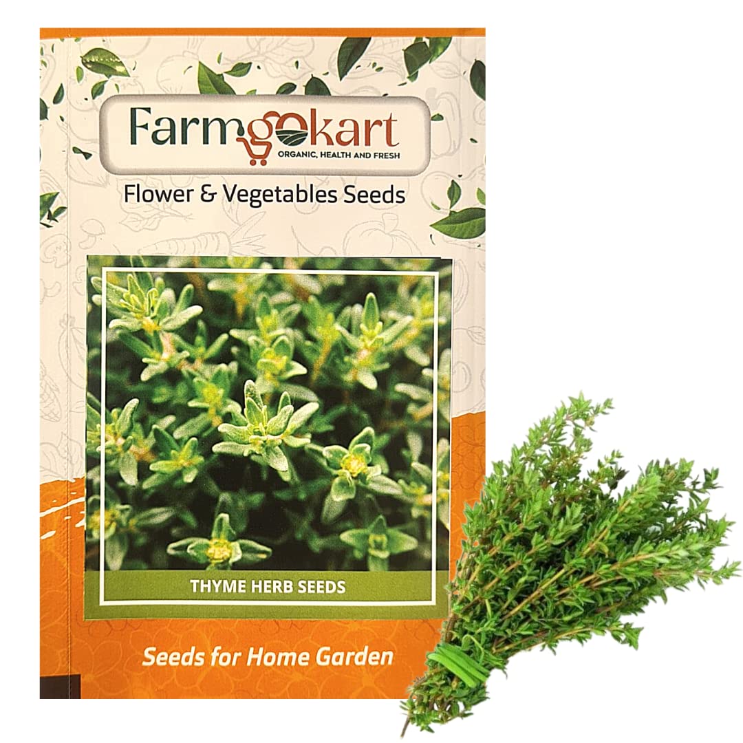Farmgokart 5 Gms of THYME HERB SEEDS Appx 10,000 Seeds High
