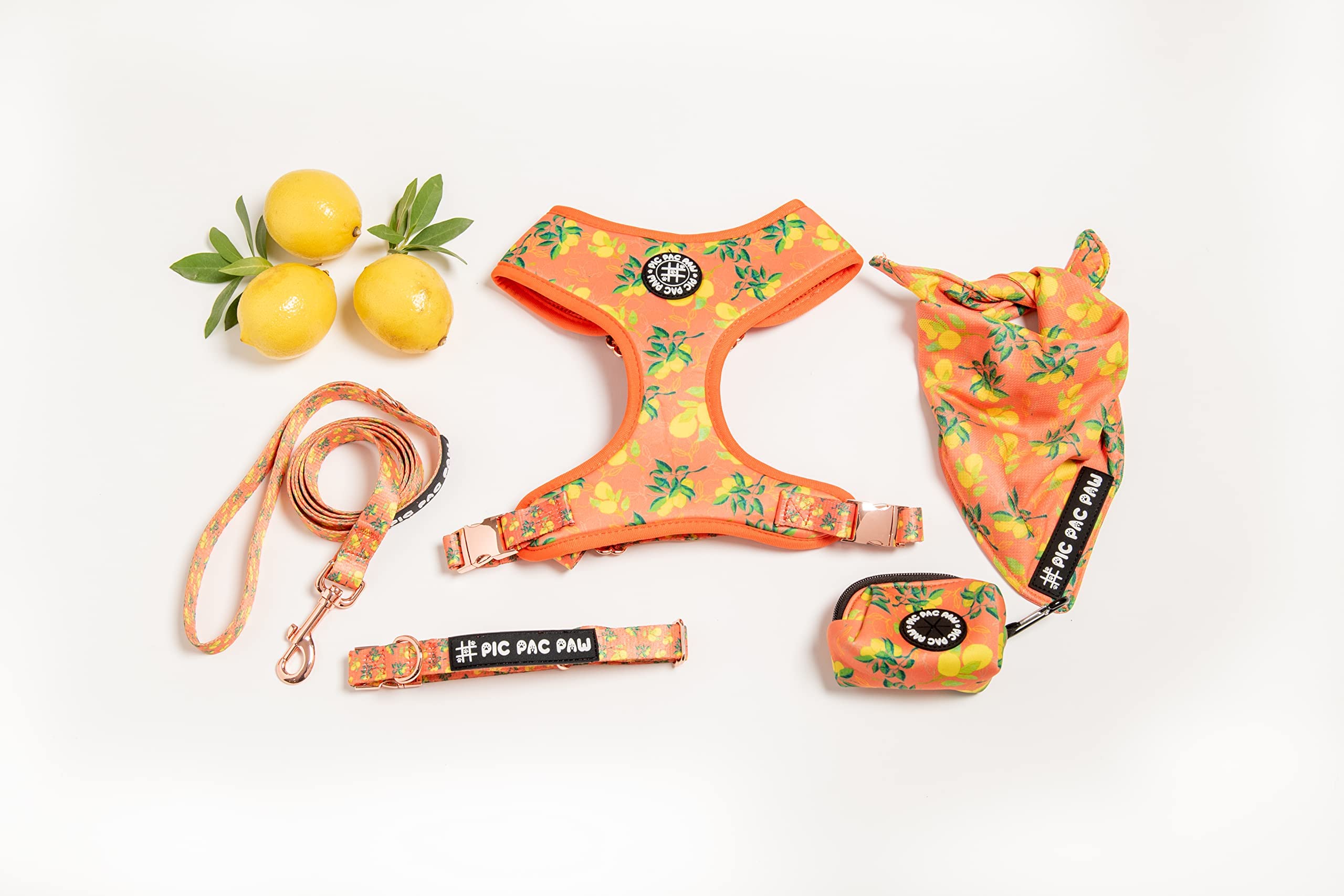 Pic Pac PawSqueeze Please Collection- Adjustable Harness with Leash, Collar, Bandana and Poop Bag Dispensers for Small, Medium and Large Dogs… (XS)