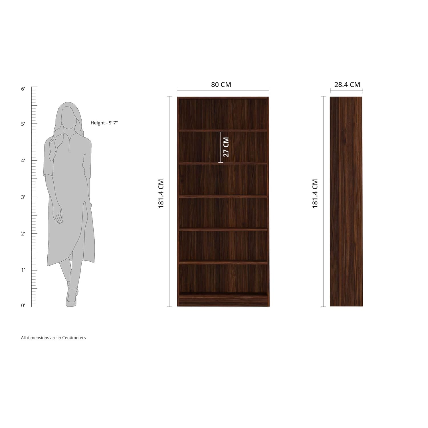 Amazon Brand - Solimo Walnut Finish Engineered Wood Bookcase with Multiple Shelves | Sturdy and Stable, Elegant Design | Spacious, Smooth Edges | 80 L x 28.4 W x 181.4 H cm offers donot miss 2 Amazon Brand - Solimo Walnut Finish Engineered Wood Bookcase with Multiple Shelves | Sturdy and Stable, Elegant Design | Spacious, Smooth Edges | 80 L x 28.4 W x 181.4 H cm offers donot miss