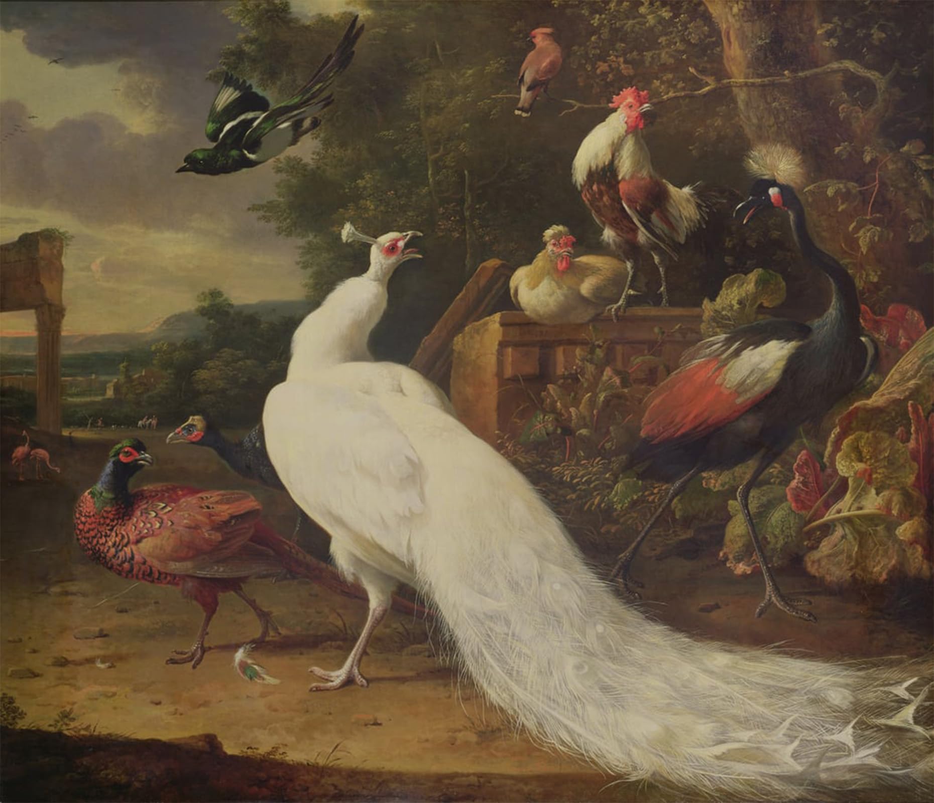 SERENDIPITP Vintage Wall Art Canvas Nordic Poster Canvas Print Picture the White Peacock by Melchior De Hondecoeter Wall Art Poster for Home Decor 60x90cm