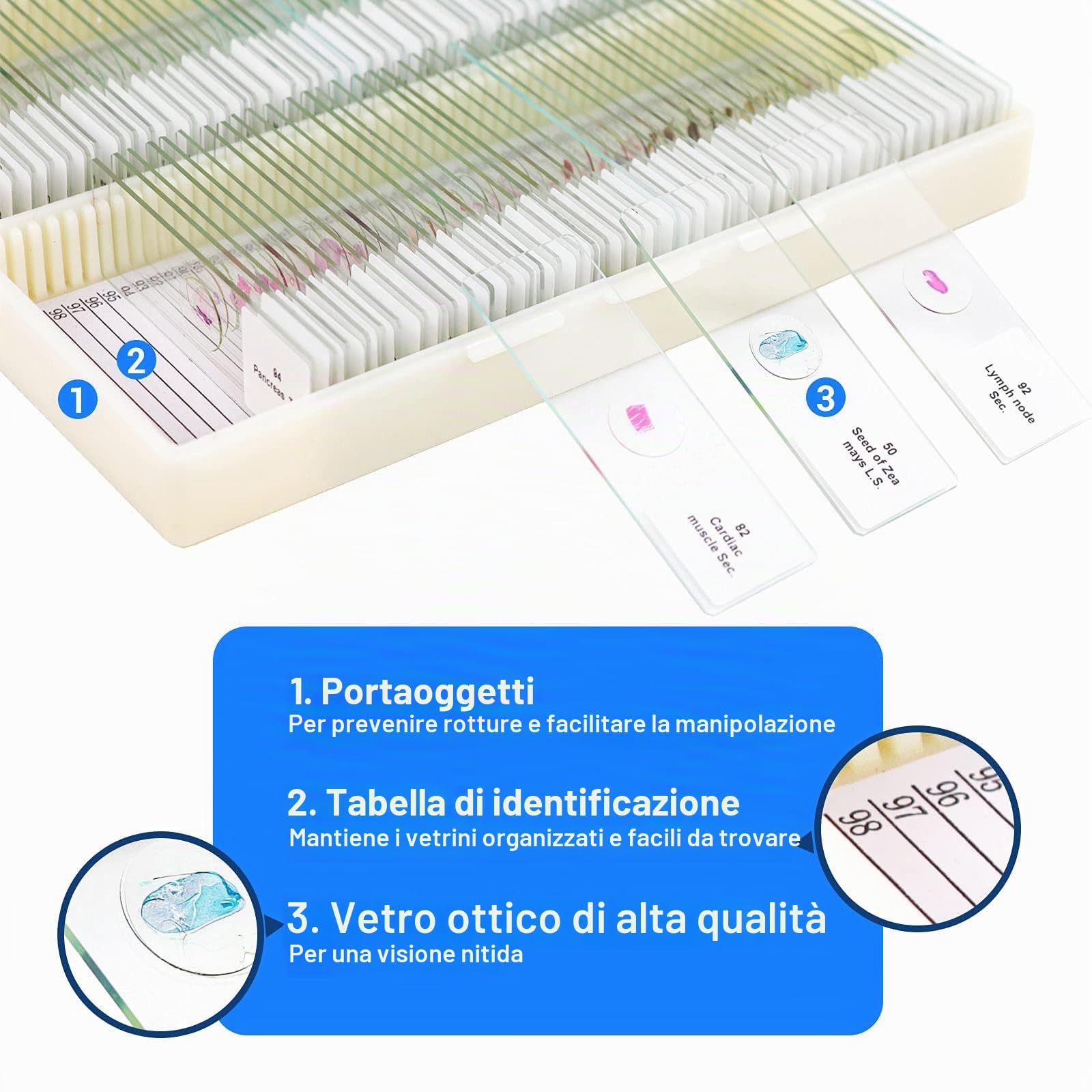 100 vetrini per microscopio per bambini e adulti - batteri, funghi, tessuti umani, mitosi, piante, insetti, campioni di cellule animali per laboratorio di scienze biologiche studio domestico