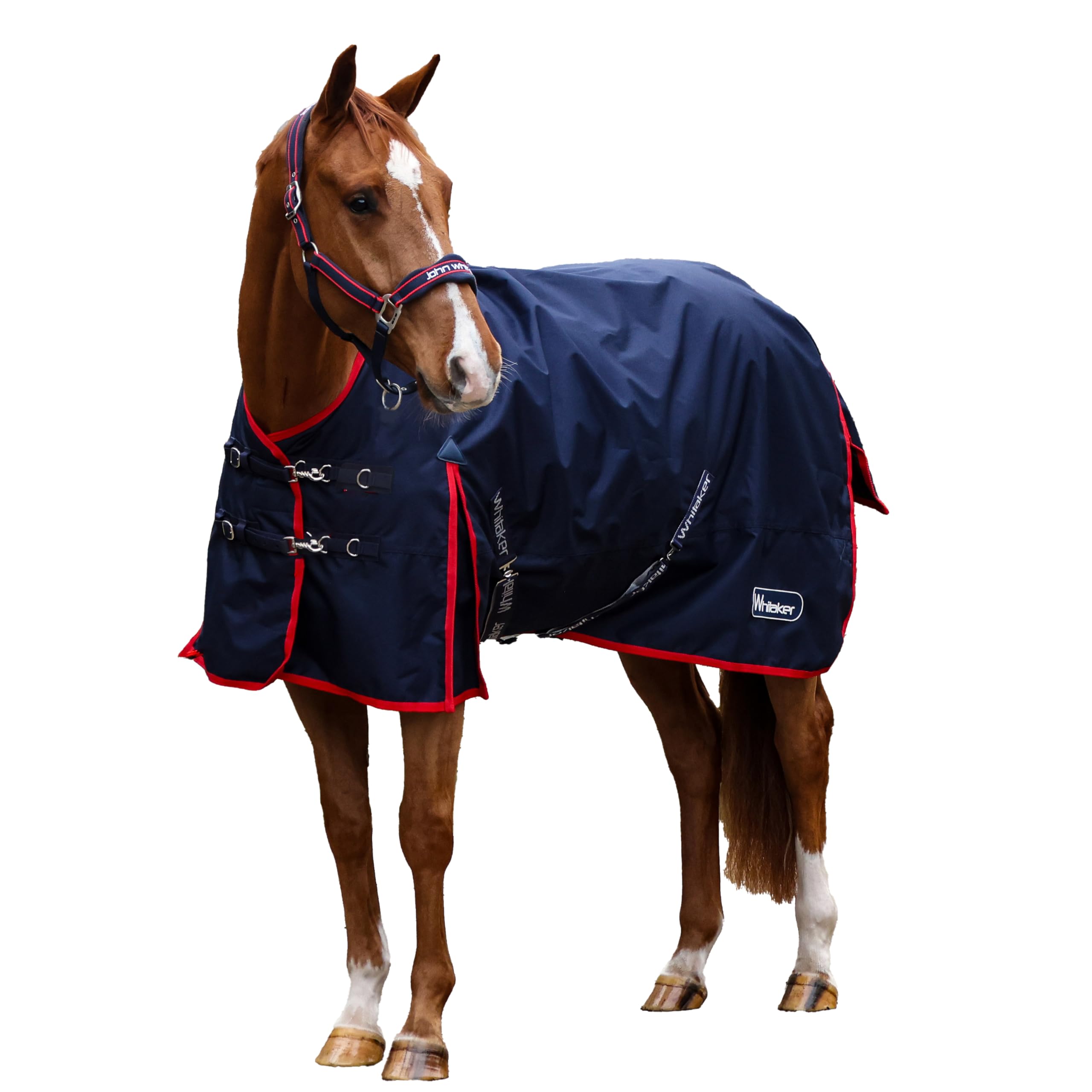 R440 John Whitaker Rastrick V2 0g Turnout Horse Rug (5'9/130cm)