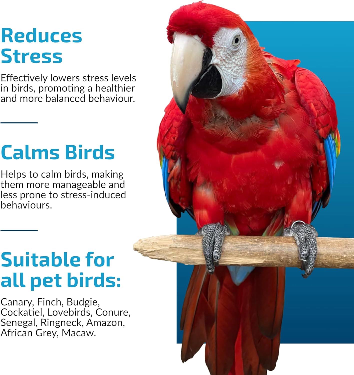 Calming Support for Large Parrots, Bird Calming Capsule, Soothes Plucking, Biting, & Screaming, Promotes Healthy Mood & Balanced Behavior - Natural & Safe for Bird 12.5oz or More 30 Capsule