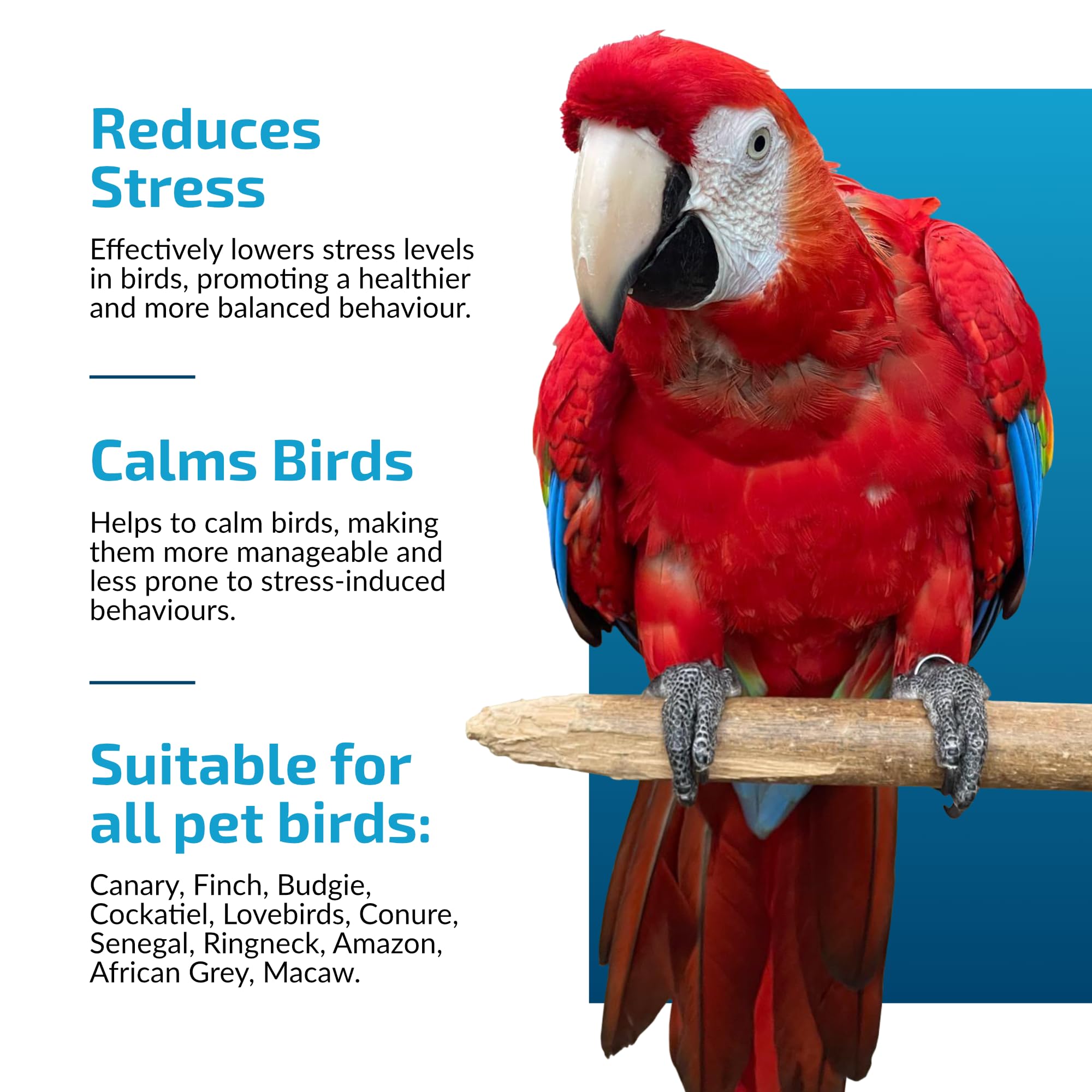 Apoyo calmante para loros grandes, cápsula calmante para pájaros, alivia el desplumado, mordeduras y gritos, promueve un estado de ánimo saludable y un comportamiento equilibrado, natural y
