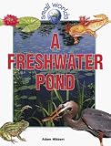 A Freshwater Pond (Small Worlds)