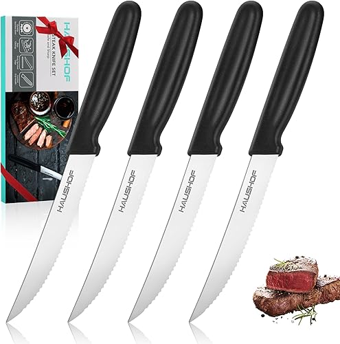 HAUSHOF Juego de 4 cuchillos para carne, acero inoxidable de alta calidad con mango ergonómico, juego de cuchillos de regalo para mamá, papá, esposa