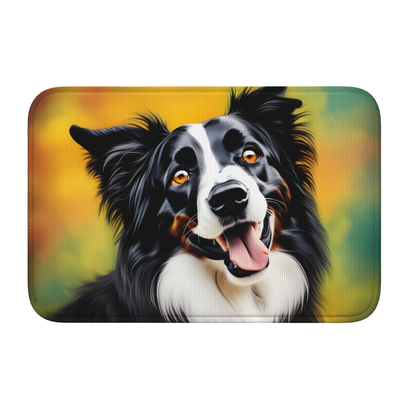 Tapis de sol Border Collie 40x60 facile à nettoyer tapis entrée lavable