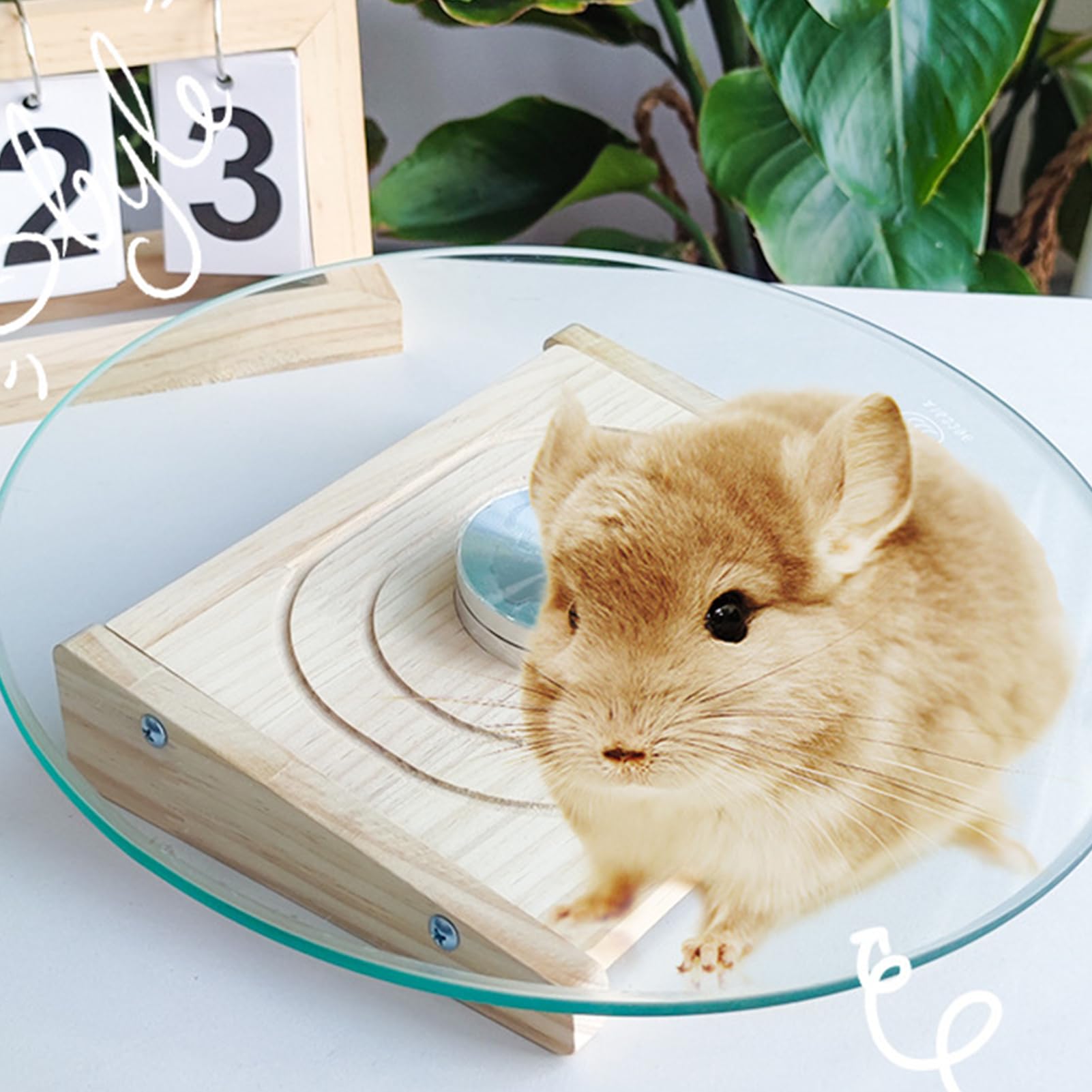 Platillo para hámster – funcionamiento silencioso para animales pequeños | corredor de salud con rodamiento de metal | jaula de juguetes para casas y hábitats Spinner para jerbos, ratones