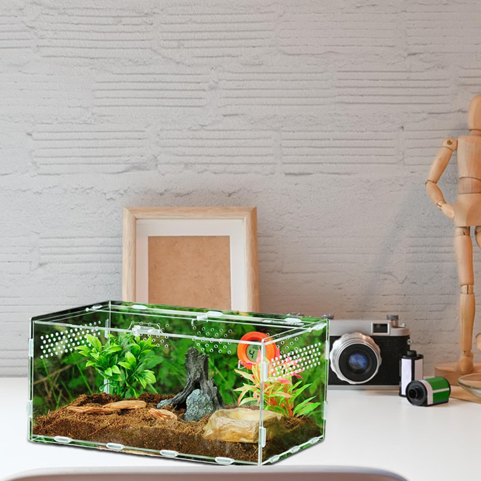 Transparente Acryl Terrarium Reptil Fütterungsbox Reptilienzuchtbox Transportboxen Futterbehälter Box Für Spide Skorpion Käfer Gottesanbeterin Reptilien Lebensraum