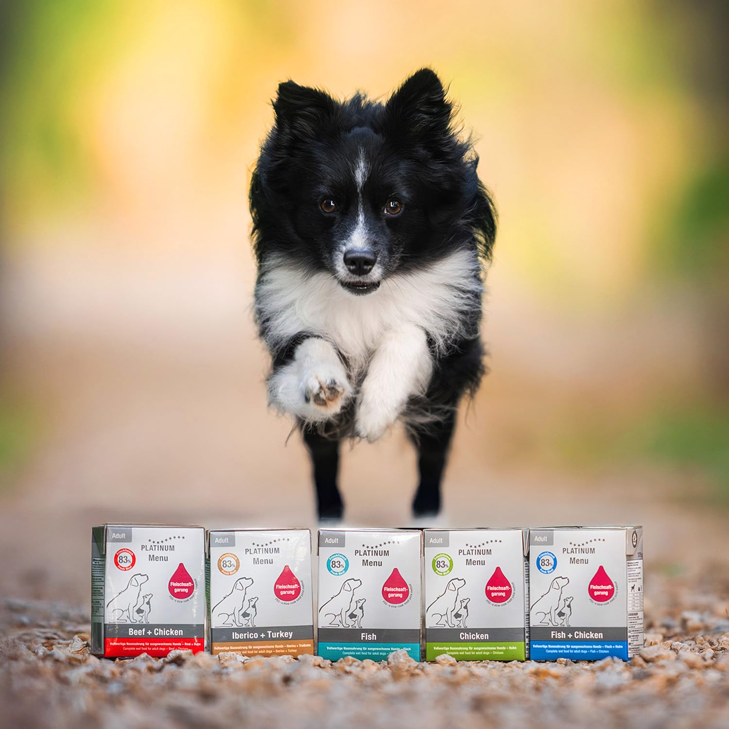PLATINUM - Alimento para perros Menu Adult Chicken de carne - 12 x 375 g Alimento para perros rico en nutrientes como el barf - especialmente sabroso para perros pequeños y grandes - Sin BPA, probado