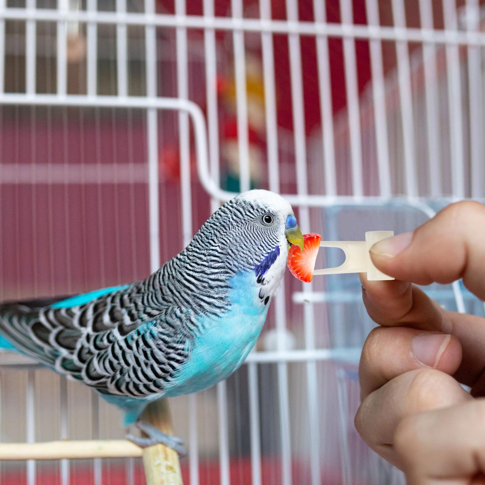 Vogelspielzeug Mit Glocke Für Papageien & Sittiche | Kauspielzeug Hängend, 25 Cm