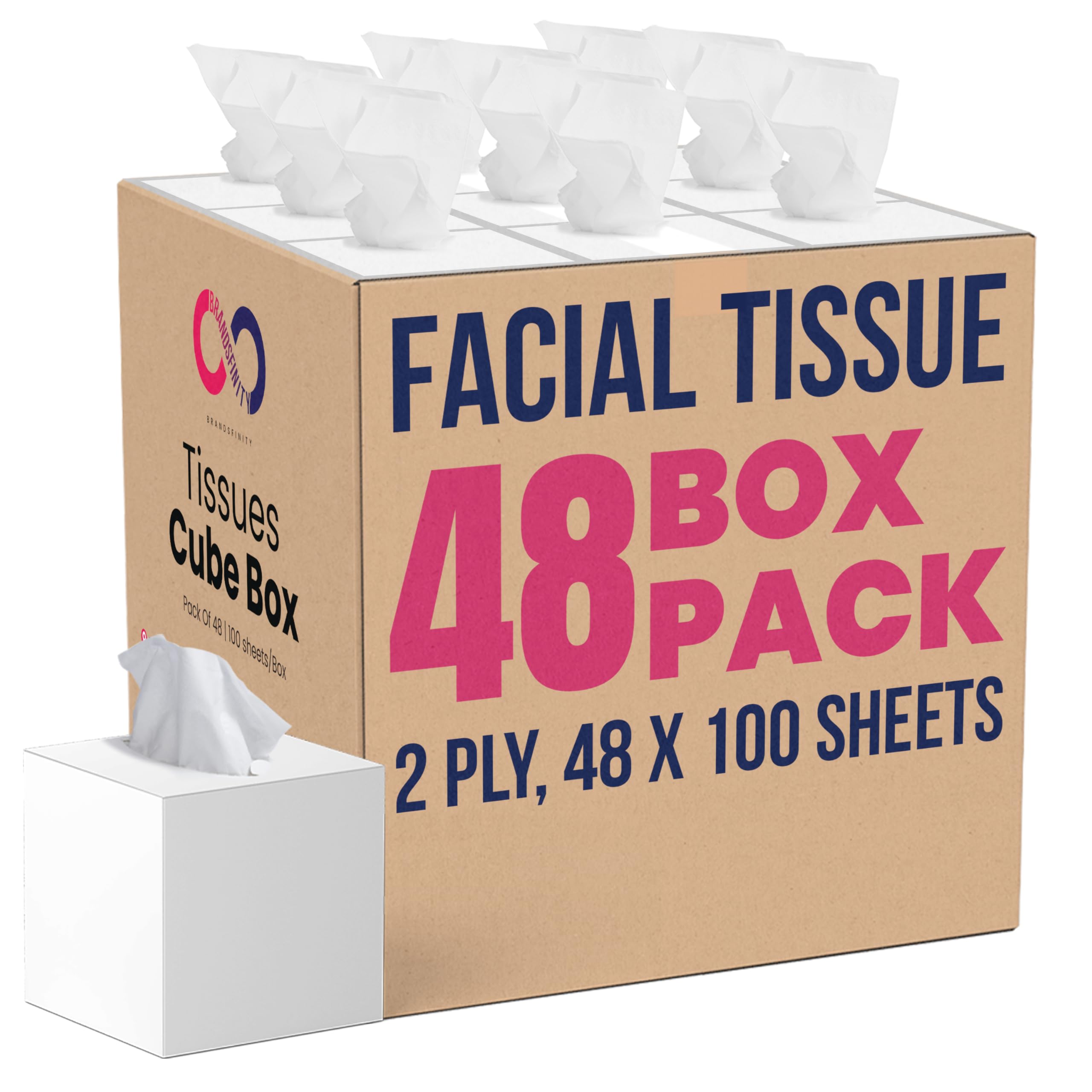 2 Ply Facial Tissue - 4800 Sheets, 48 Cube Boxes of 100 Sheets Each - Soft & Absorbent, White Tissue Box Bulk