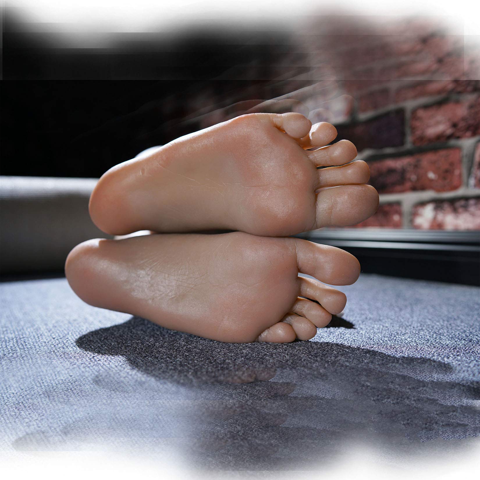 アメリカンアナトミカル社製 足模型 アメリカンアナトミカル社製足模型