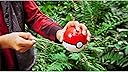 Thumbnail 12