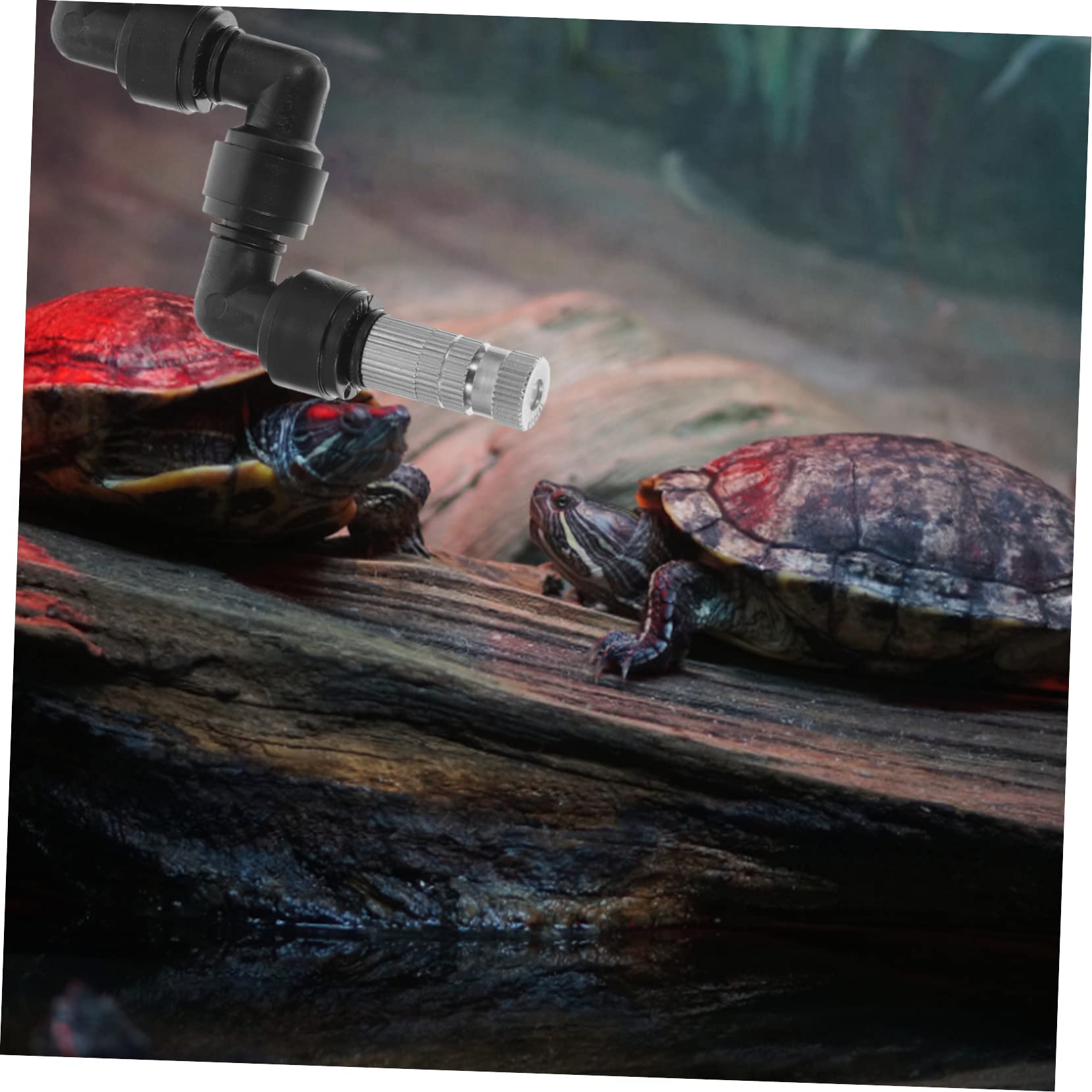 Sosoport 5pezzi Ugello Nebulizzatore Per Irrigazione Serbatoio Reptili Spruzzatore Misting Per Piante e Muschi Facile Installazione e Alta Durabilità Accessorio Per Terrari e