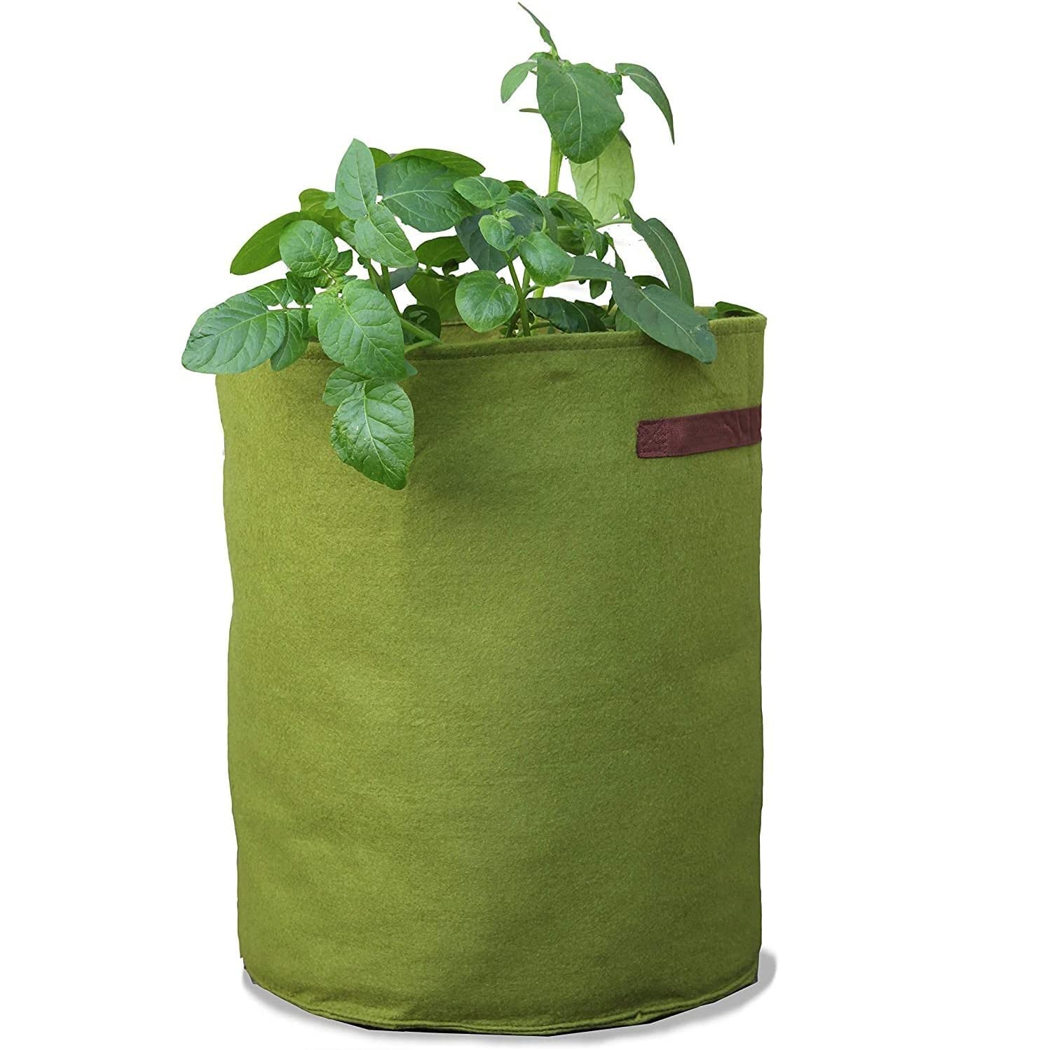 Garden Gear Green Vigoroot Grow Bags Ideal For Potato & Tomato Complete With Carry Handles Heavy Duty Growing Bags Easy Storage (Vigoroot Planter X3)