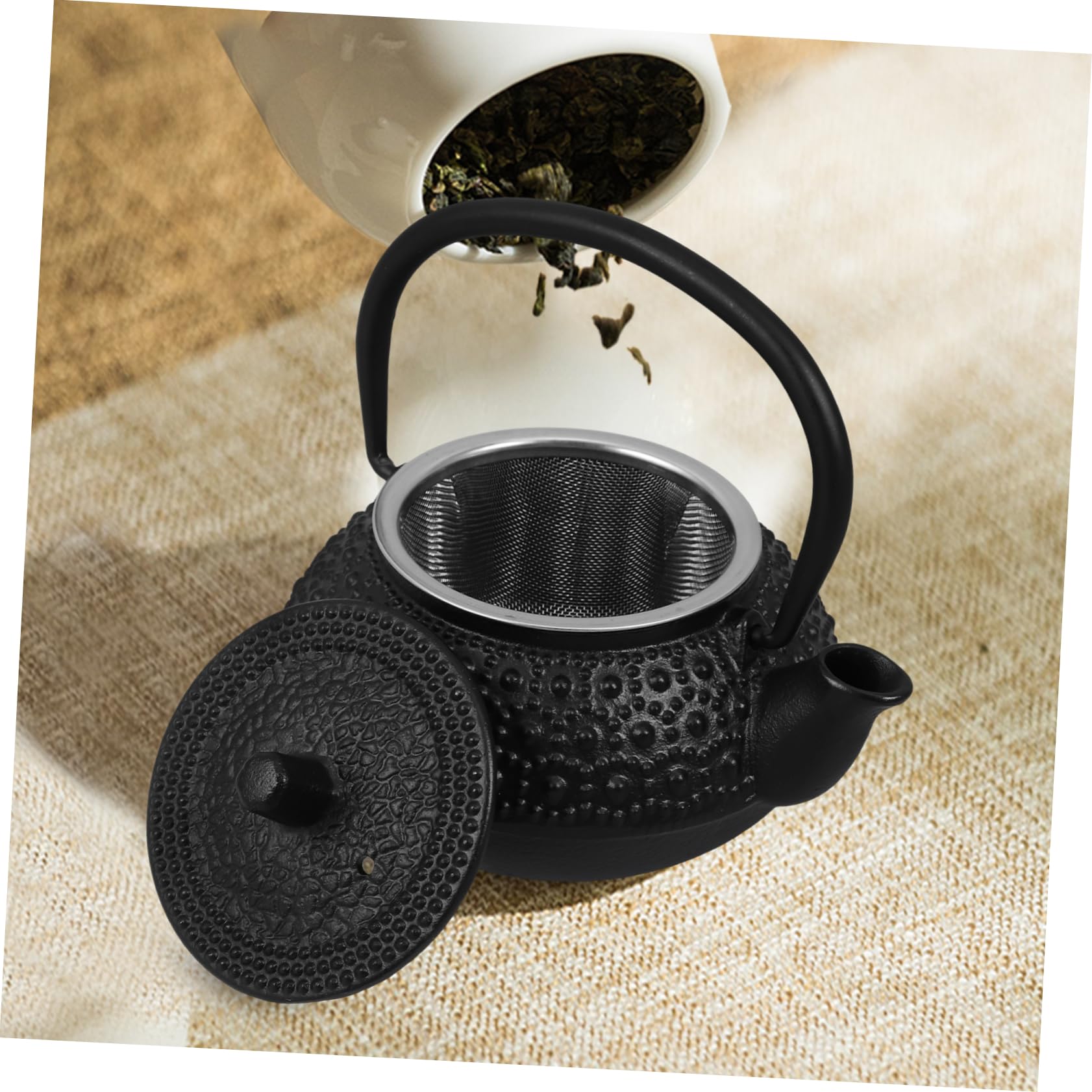 Bouilloire en Fer 0,3l avec Infuseur pour Thé en Vrac, Solide et Stable, Style Simple et Élégant, pour Infusion à Domicile