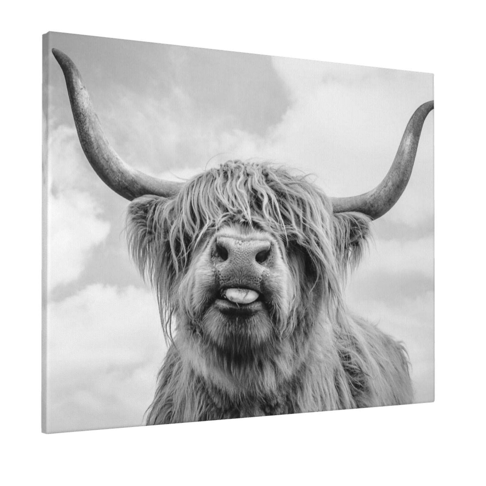 Buy Cow Pictures Wall Decor Animal Canvas Wall Art Black and White