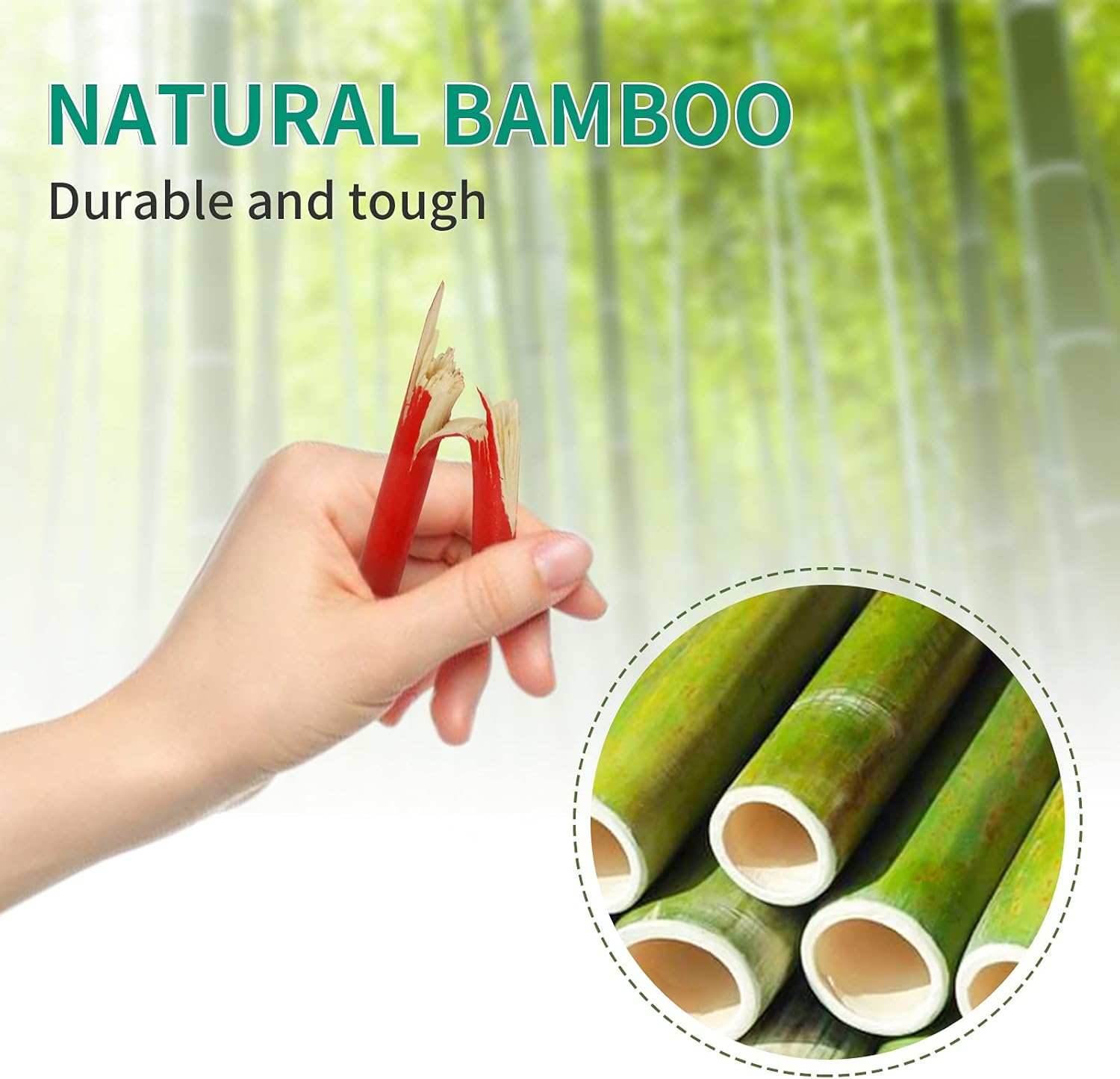 review 200 Packs Golf Tees Professional Natural Wood Golf Tees, Golfing Tees Multiple Colors Size 3-1/4 Inch, Tall Golf Tees Bulk Reduce Side Spin and Friction