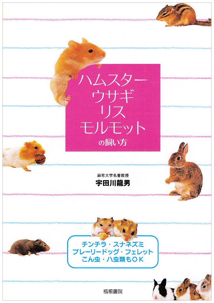 乾燥葉っぱ ◎セミオーダーページ◎ ウサギ ハムスター リクガメ