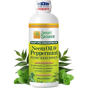 Neem Oil Spray for Plants with Peppermint Oil for Indoor & Outdoor Plants, Gardens, Houseplants Best Value Refill 16 oz Concentrate Makes 2 Gallon RTU