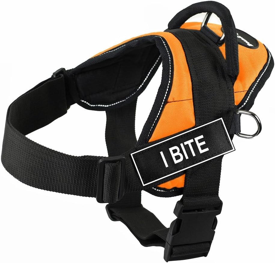 Dean & Tyler DT Fun "I Bite" Harness with Reflective Trim, Small, Orange