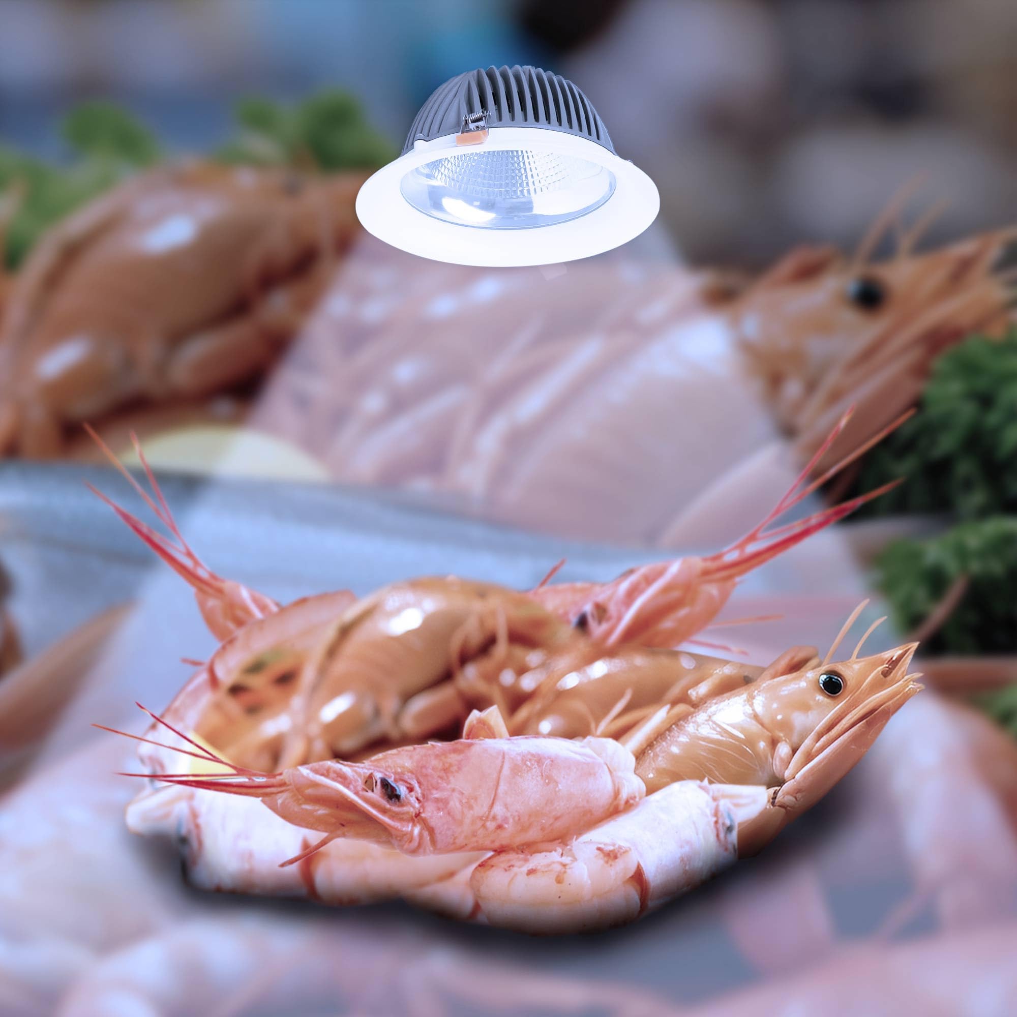 B·LED BARCELONA LED - Downlight LED especial para pescaderías - 40W - Driver - Corte Ø210 mm