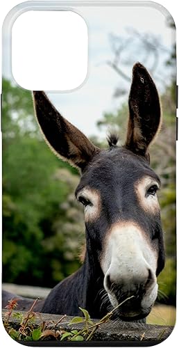 Funda para iPhone 12 mini Donkey