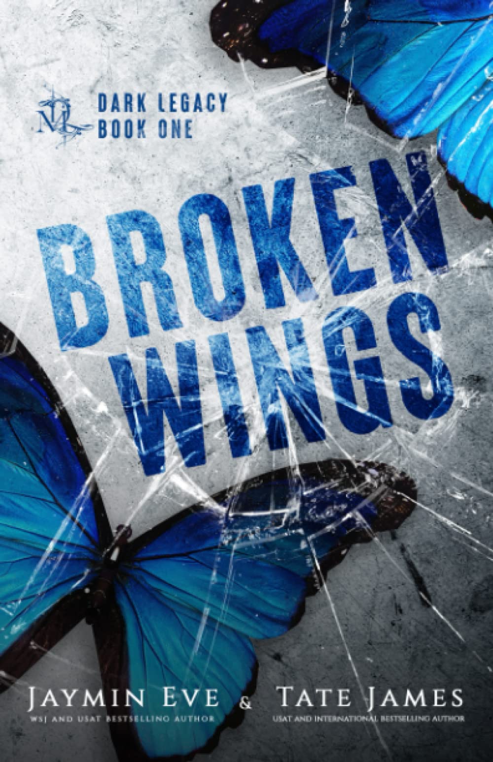 Broken Wings: A Dark High School Romance