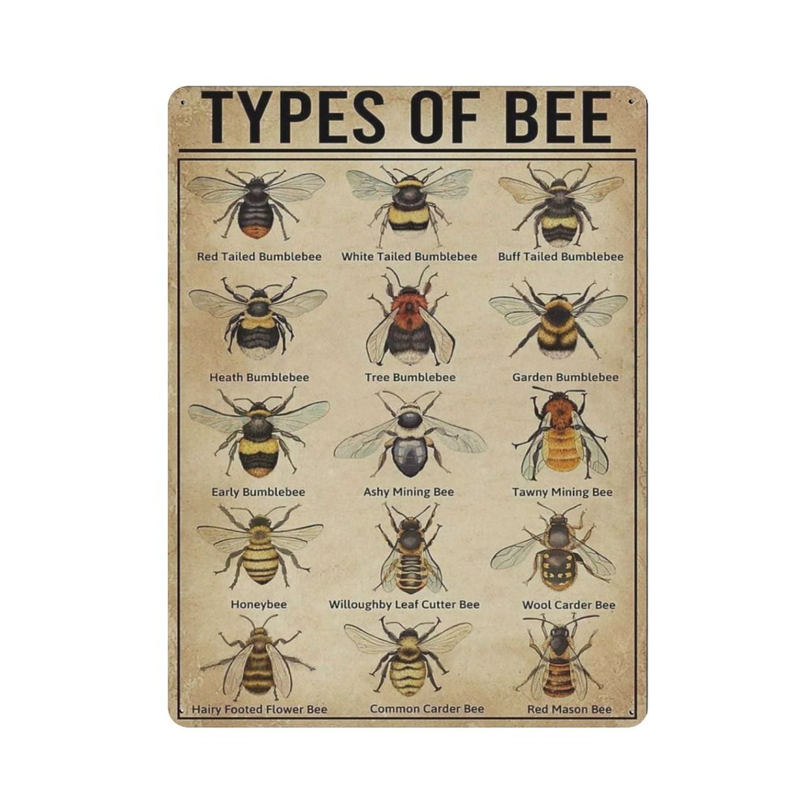 AOOEDM Types of Bee Vintage Tin Sign Metal Tin Signs for Man Cave Funny Art Wall Plaque Kitchen Bar Pub Coffee Shop Wall Decor