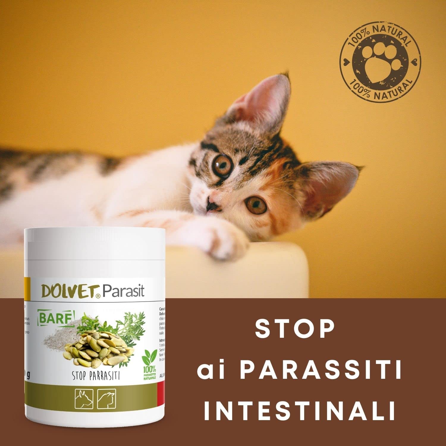 Dolvet Parasit Vermifugo per Cani e Gatti 70 grammi, Formulazione naturale sverminante, Combatte i Parassiti e Vermi dell'Intestino - Linea BARF