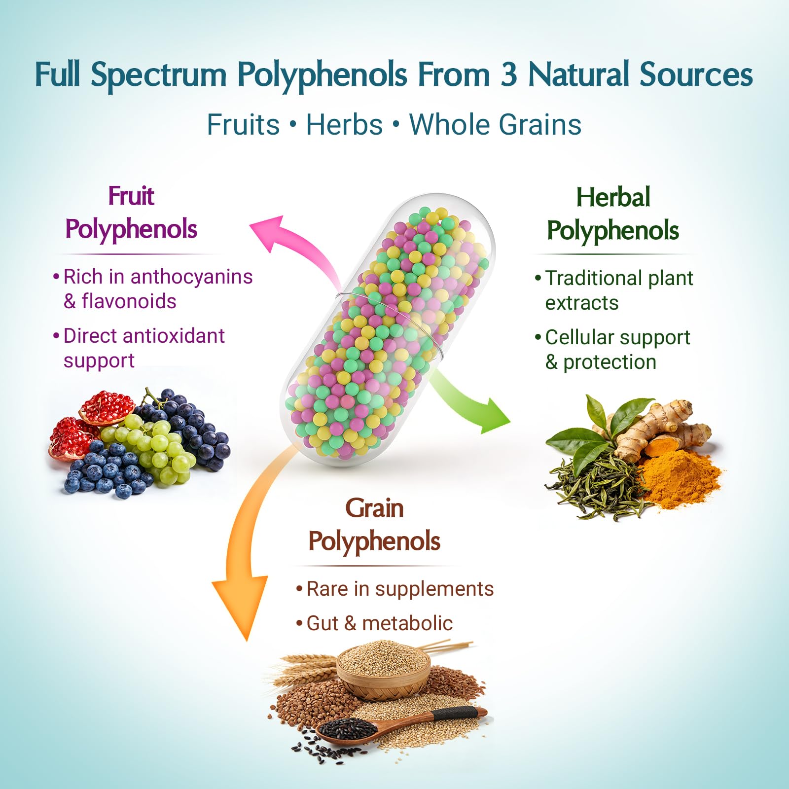 (240 Count) Polyphenols Supplement 1500mg – Over 20 Fruit, Herbal & Cereal Full Spectrum Polyphenol Complex with Resveratrol, Grape Seed & Green Tea – Tri-Color MicroBeadlets – Powerful Antioxidant — Amazon image 2