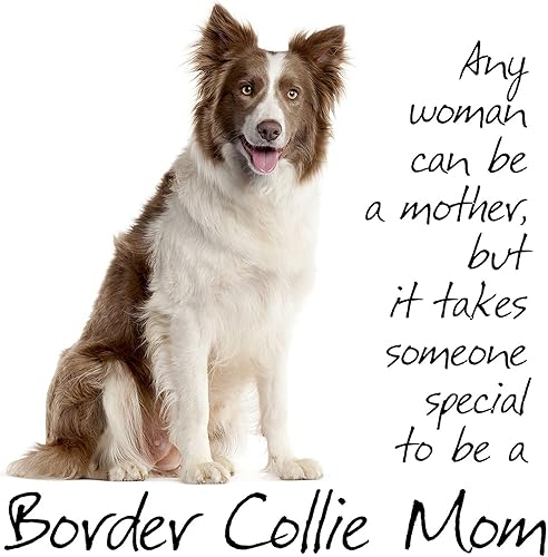 Vista 75 de CafePress Border Collie - Bolsa de lona natural, bolsa de compras reutilizable