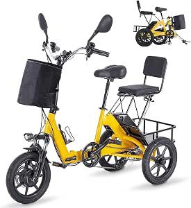 Electric Tricycle for Adults, 500W Folding Electric Trike with Removable Battery, Dual Cargo Baskets, and 2 Seats