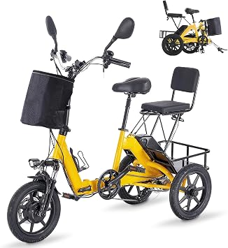 Electric Trike Bike, Peak 500W Brushless Motor Folding Trike Ebike, 480Wh Removable Battery, Step-Thru 3 Wheel Electric Bicycle, 2 Seats, Up to 45 Miles, Tricycle for Adults, Gift for Parents