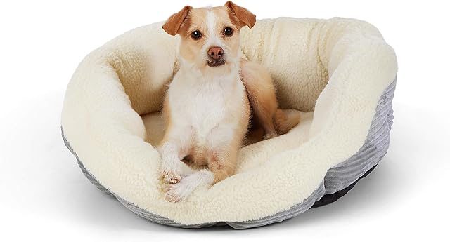 Amazon Basics Round Warming Pet Bed, 61 cm