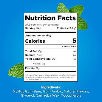 PUR Gum | Aspartame Free Chewing Gum | 100% Xylitol | Natural Peppermint Flavored Gum, 55 Pieces (Pack of 2)