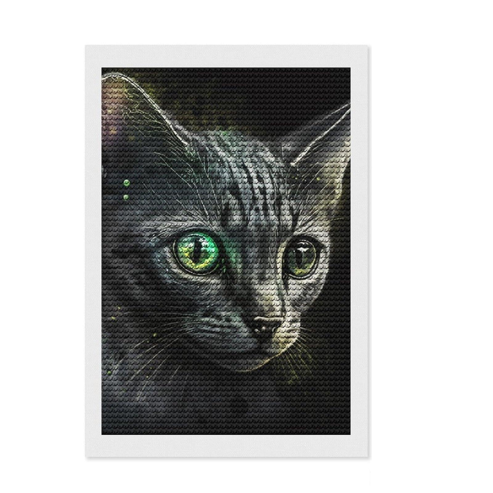 Junmoney Painting Cat DIY Diamond Art Canvas Kit 8"x12", Fun Craft Experience, Good for Quiet Evenings, Cosy Home Accent, Gift Idea