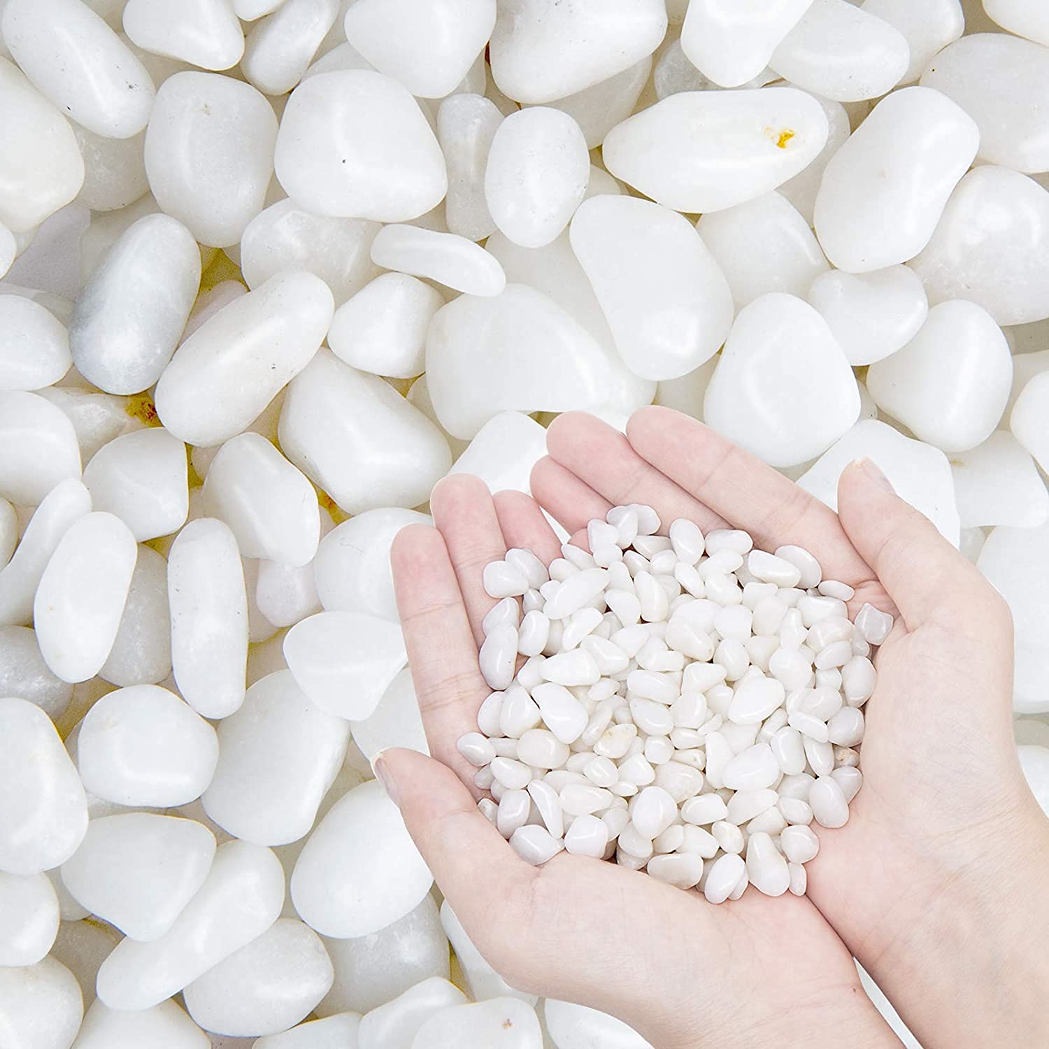 FAYMON White Natural Polished Stones, Polished River Rock Pebbles for Succulents Cactus Bonsai. Decorative fillers. Aquariums and terrariums. (Size-10 to 35MM, 0.950 KG) (B09FZ9CX5R) Amazon Price History, Amazon Price Tracker