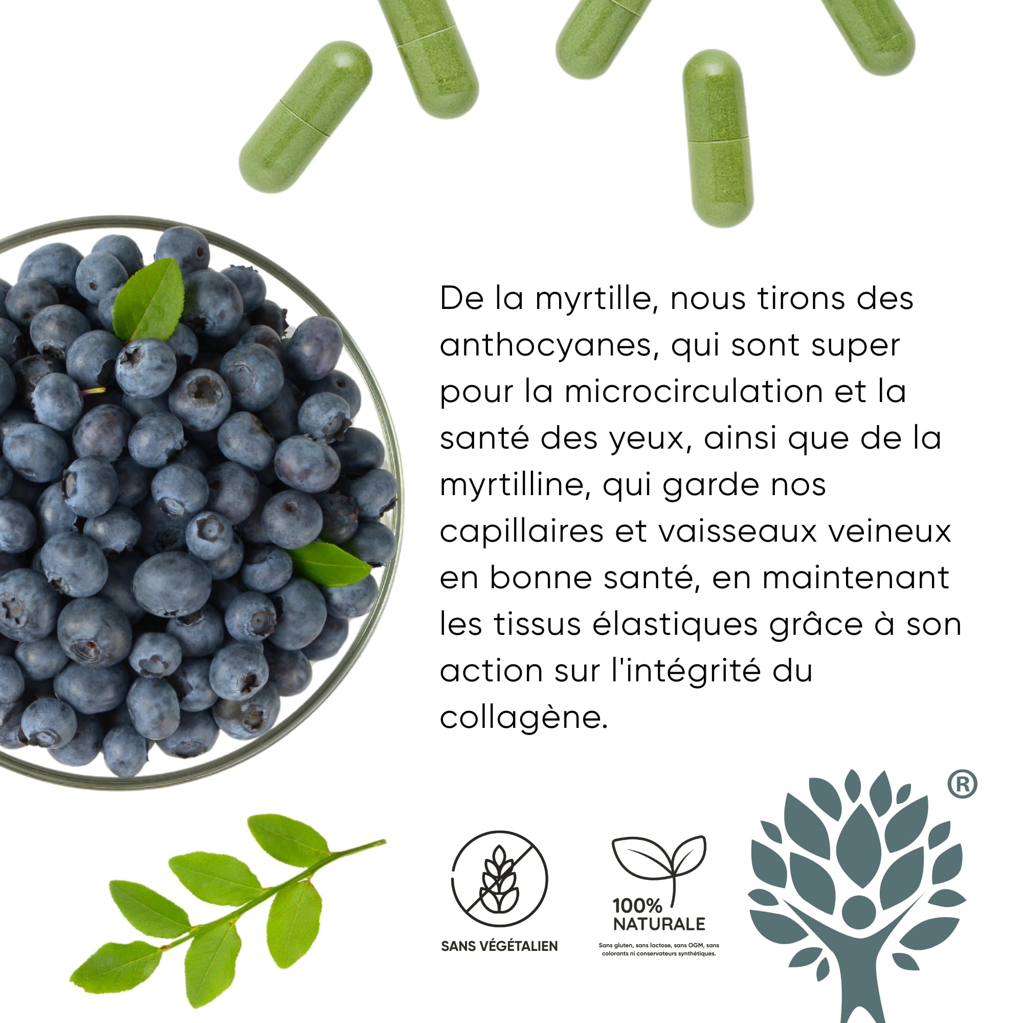 RedMoringa - Supplément Anti Jambes Lourdes & Circulation Sanguine - avec Moringa et Myrtille Noir - Jambes Légères, Drainage Naturel - 100% Naturel - 60 Gélules Végétales