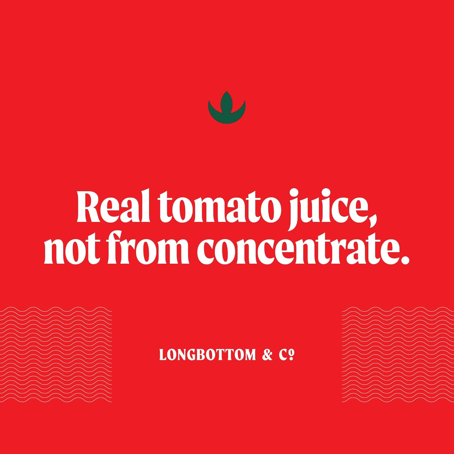 Longbottom & Co. Virgin Bloody Mary Mix Tomato Juice (24 Pack) | Premium Cocktail Mixer Made with Fresh Pressed Tomatoes | Low in Sodium, Vegan, Non-GMO, | No Artificial Flavors | 7.5 Fl Oz Cans