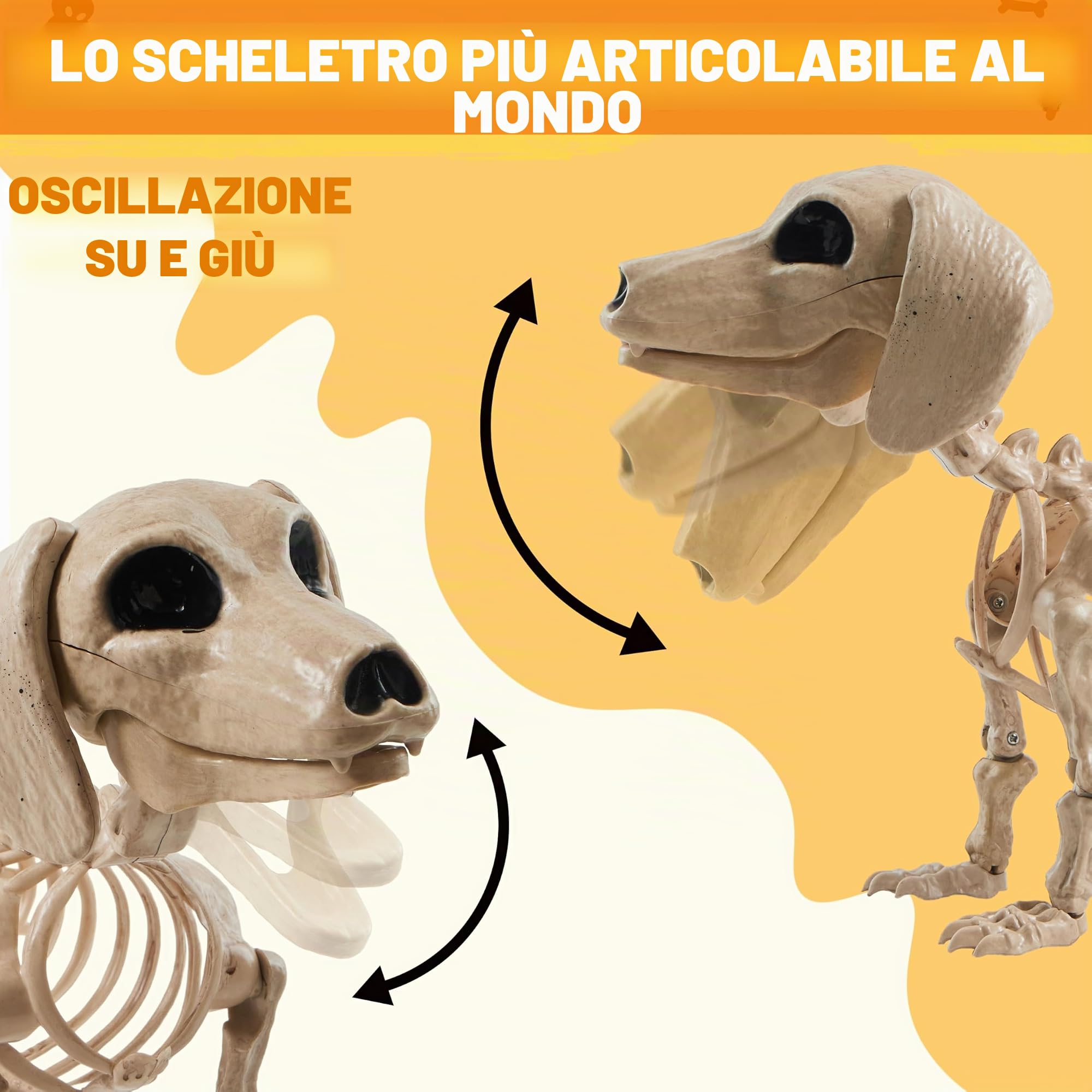 JOYIN Wiener - Scheletro di cane in plastica da 61 cm, scheletro snodabile, decorazioni per Halloween con giunti mobili, per scene di cimiteri, casa infestata, decorazione per feste, spettrale
